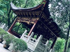 -汇龙潭