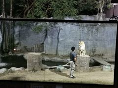 -清迈夜间动物园