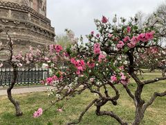-玲珑塔公园