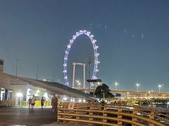 -新加坡摩天观景轮