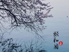 -颐和园