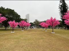 -万绿园