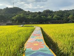 -红山村
