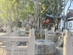 -常熟方塔园