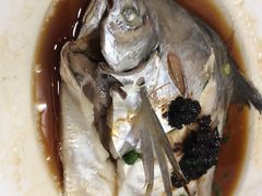 -老字号蛇口德记烧腊饭店·海鲜加工