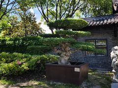 -泰州凤城河风景区-泰山公园