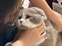 -瑞派康怡24h宠物医院·犬猫医疗中心·微创绝育(瑞景分院)