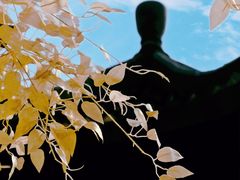 -广东圆玄道观