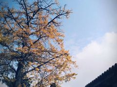 -金堂县云顶石城风景区