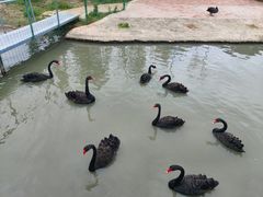 -琅岐红光湖公园