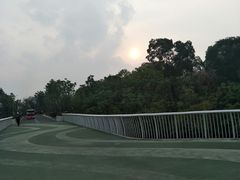 -飞凤山奥体公园