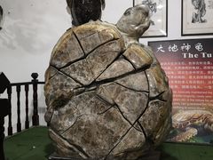 -游龙石文化科普馆