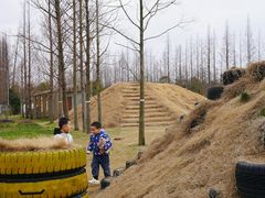 -前小桔亲子创意农场·草莓采摘·露营烧烤