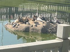 -梵天禅寺
