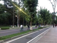 -四川大学(望江校区)