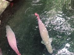 -青青世界
