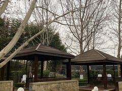 -春晖园度假酒店温泉