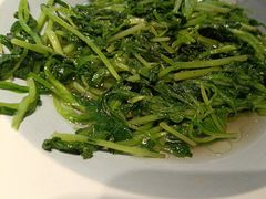 -鸽子窝(宋庄店)
