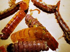 -蓝珊甄选海鲜自助·火锅大排档(近阿那亚店)
