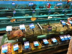 水产区-强记海鲜·大排档(蛇口新街店)