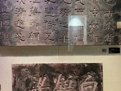 -白鹤梁水下博物馆