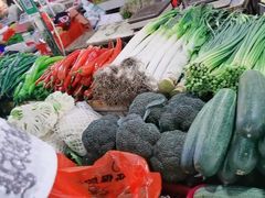 -羊栏农贸市场(羊新路店)