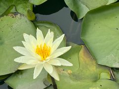 -长兴太湖图影湿地文化园