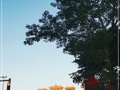 -野狸岛