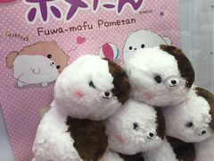 -LLJ夹机占(清河万象汇店)