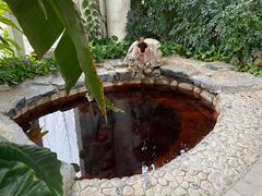 -中家鑫园温泉酒店鑫悦汤泉