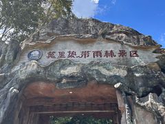 -莫里热带雨林景区