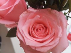 -COSTA COFFEE(上海月星环球港店)