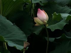 -箸福·夜上海(月牙湖公园店)