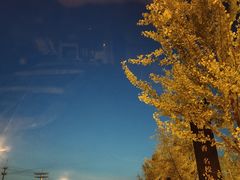 -德克士(宽甸店)