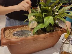 -陶苏·品味融合川菜(龙湖源著天街店)