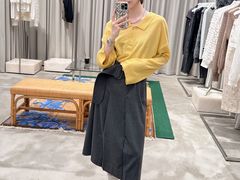 -岭南站NOVA