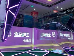 -盒马鲜生(枣园路店)