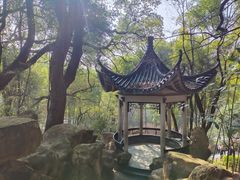 -岳麓山风景名胜区