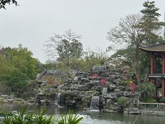 -顺峰山公园
