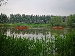 -白渔泡湿地公园