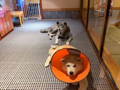 -大江户·温泉洗浴(浑南店)