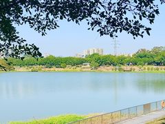 -风云岭森林公园
