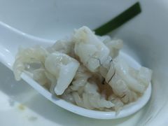 鲮鱼泡-章记正宗南岗鱼蛋火锅