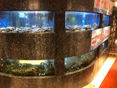 水产区-乾隆美食·本帮菜(黄河路店)