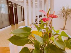 -P.T HERO私人健身工作室(吾悦国际店)