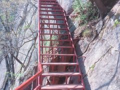 -陕西省红河谷森林公园