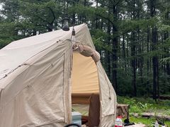 -白草畔自然风景区