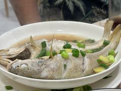 清蒸鱼-包不同知味(嵊泗店)