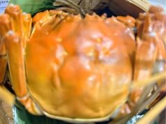 阳澄湖大闸蟹-火福·天湖阁大闸蟹博物馆主题餐厅(浅水湾店)