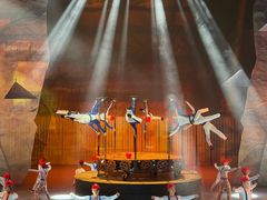 -重庆国际马戏城